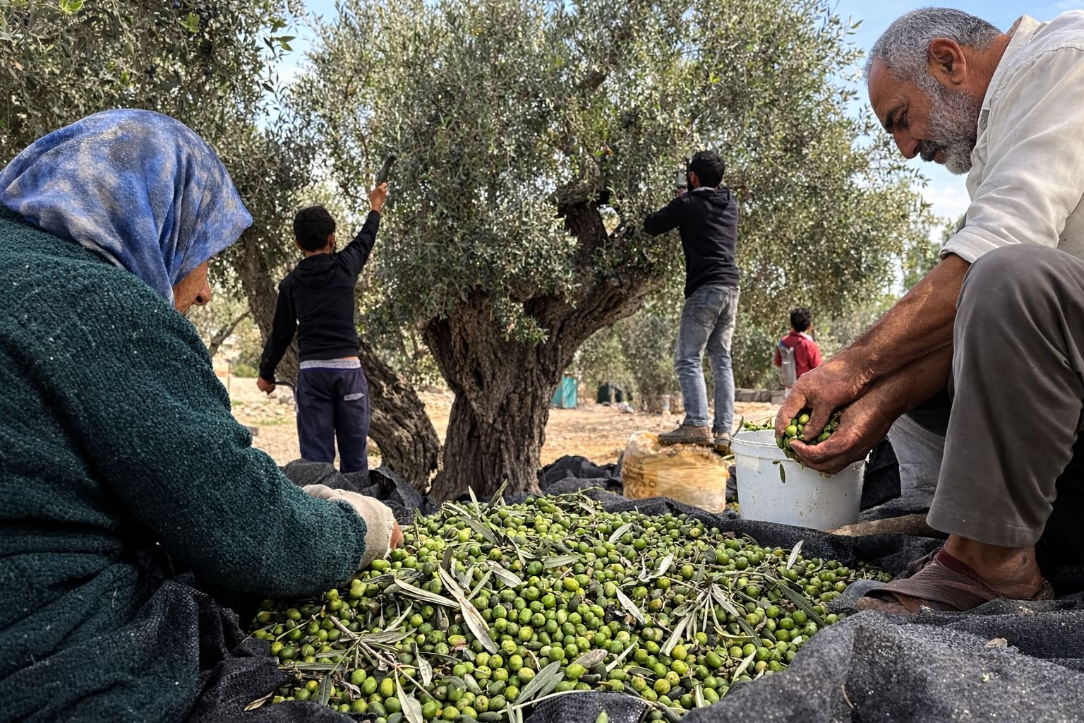 Agriculture and work in the villages of historical Palestine